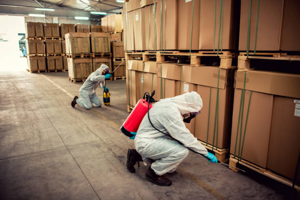Best Pest Prevention Services  in Rahway, NJ