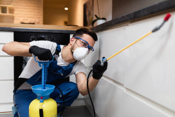 Best Bed Bug Extermination  in Rahway, NJ