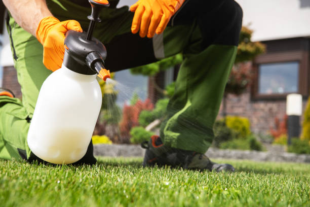 Best Commercial Pest Control Services  in Rahway, NJ