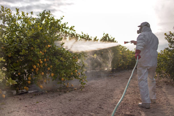 Best Pest Removal Services  in Rahway, NJ