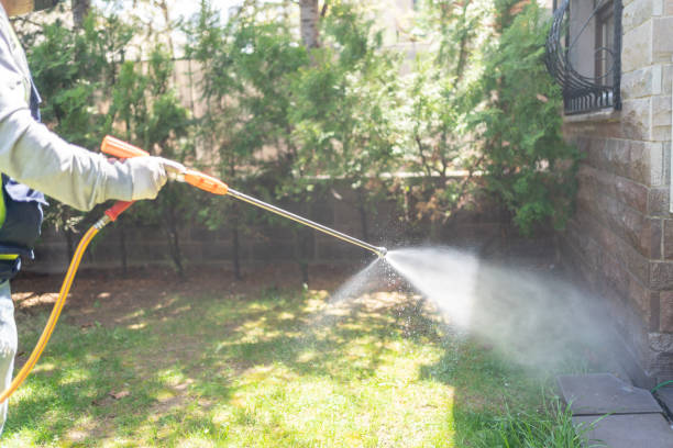 Best Best Pest Control Companies  in Rahway, NJ