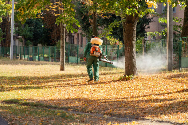 Best Emergency Pest Control  in Rahway, NJ