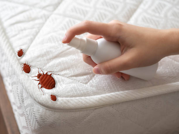 Best Exterminator Services  in Rahway, NJ