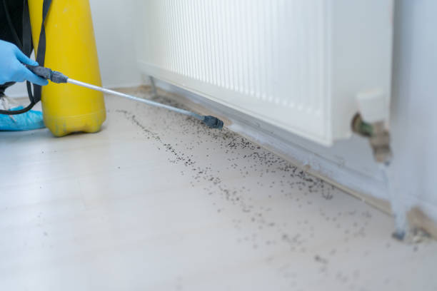 Best Best Pest Control Companies  in Rahway, NJ