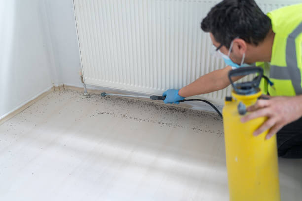 Best Affordable Pest Control Services  in Rahway, NJ