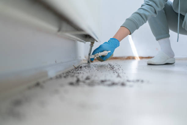 Best Wildlife Control Services  in Rahway, NJ